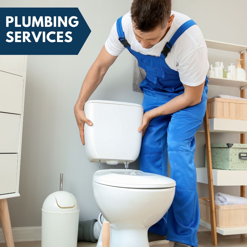 Plumbing Company in Phoenix, MD
